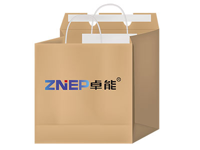 Paper Handle Bag with Flap